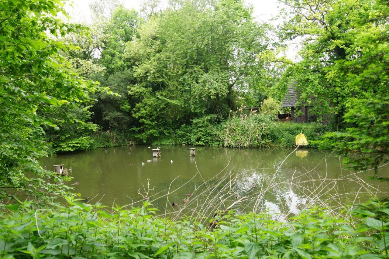 Gaestewohnung Hardinghaus Am Teich Warendorf Luaran gambar